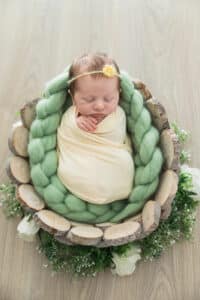 photo de bébés dans le panier-2